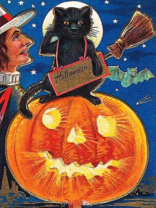 Witch and black cat sitting on a carved pumpkin or Jack-o-lantern, Halloween, illustration