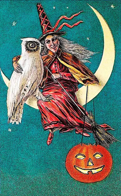 Witch sitting on the moon with a carved pumpkin or Jack-o-lantern, white owl, night, Halloween, illustration