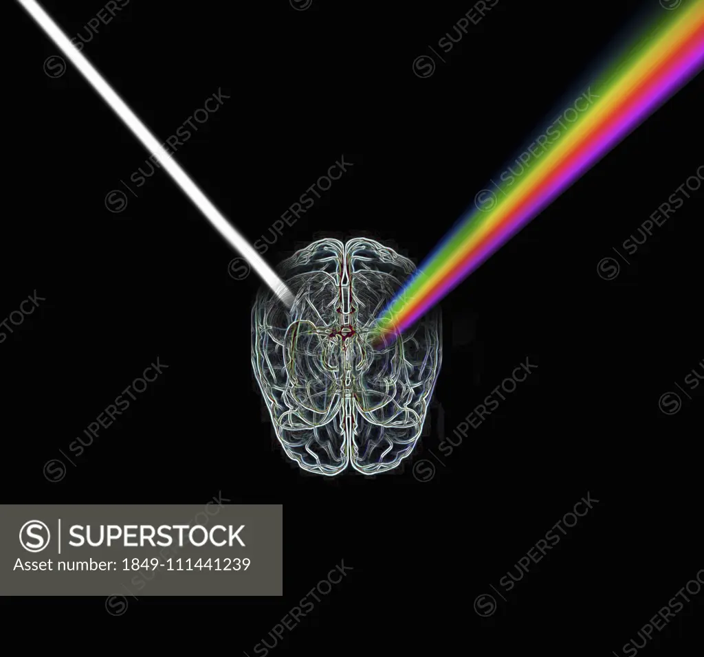 Wire brain refracting light as a prism