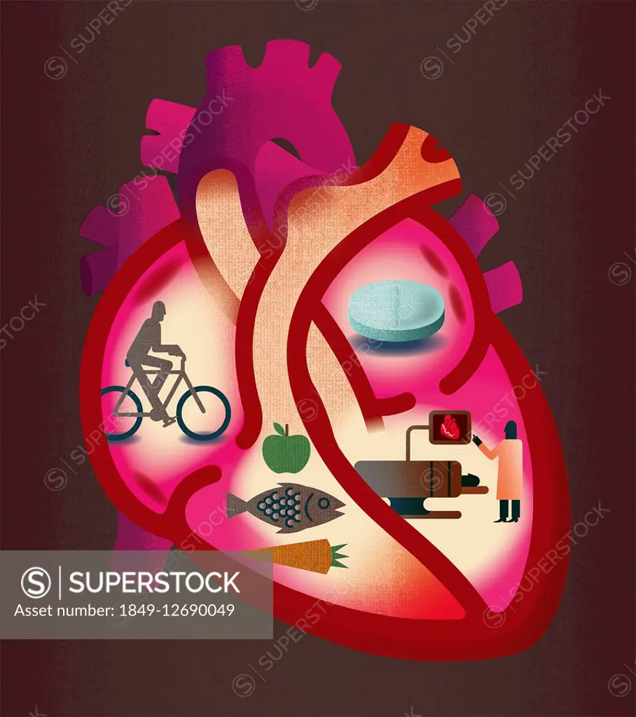 Cross section of heart contrasting heart disease and healthy lifestyle