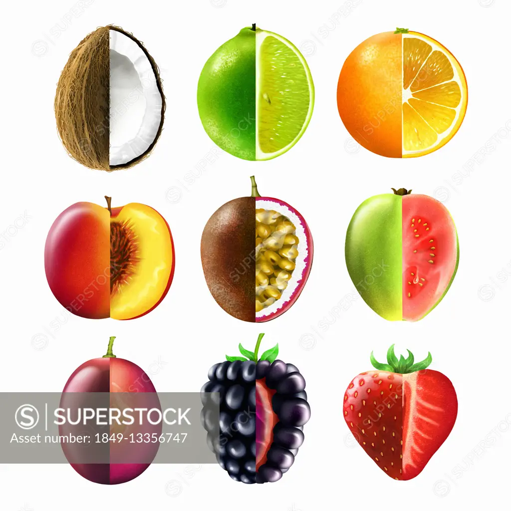 Montage of rows of bisected fruit showing cross sections