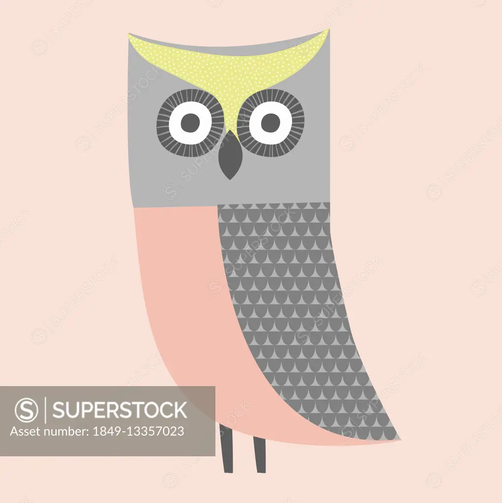 Cute illustration of pink, gray and green owl