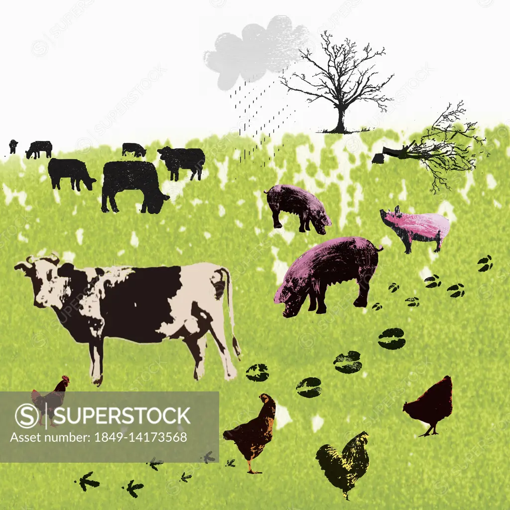 Carbon footprints of farm animals in field