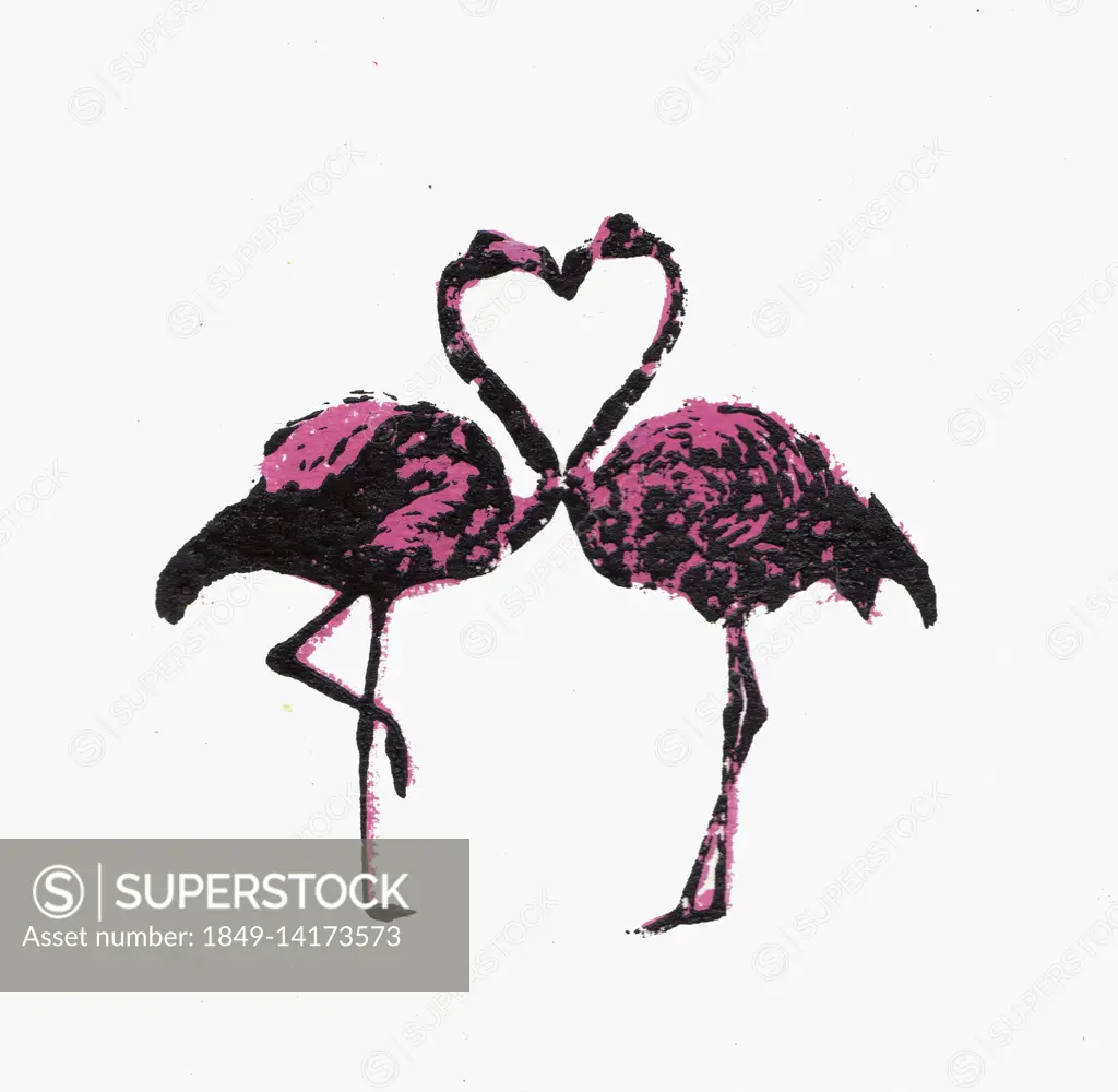 Two flamingos face to face with necks forming heart shape