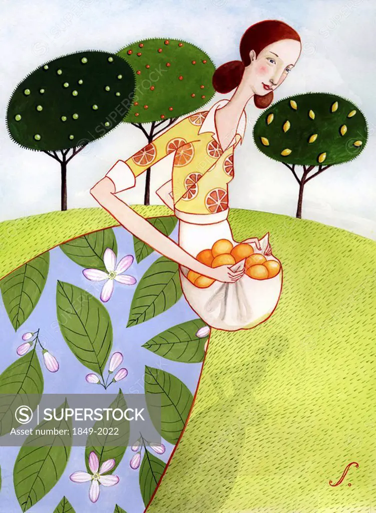 Woman carrying harvested oranges in apron