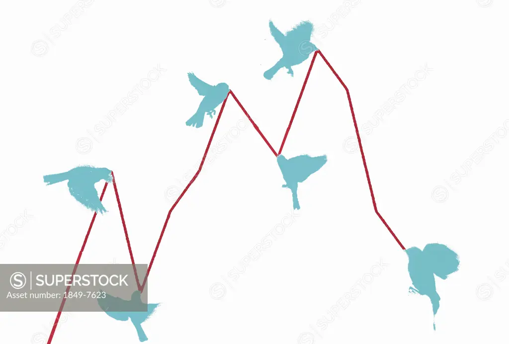 Birds pulling in line graph up and down