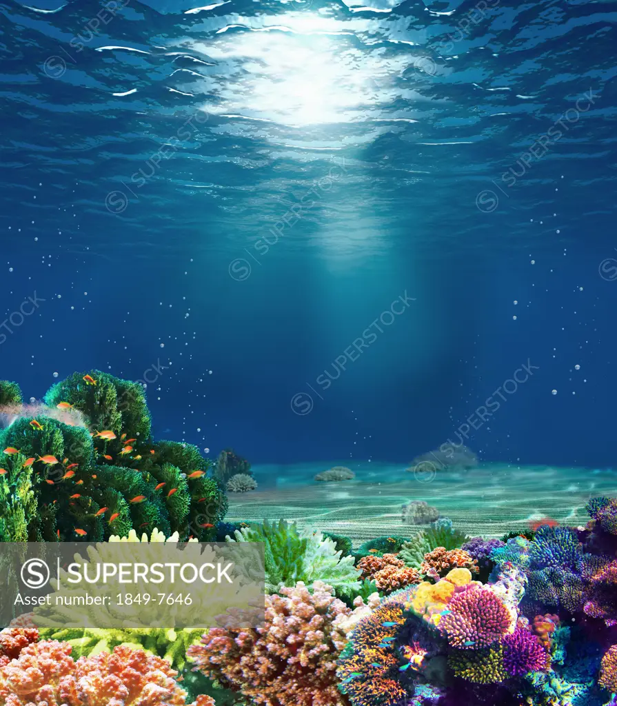 Multicolored underwater coral reef with sunbeam