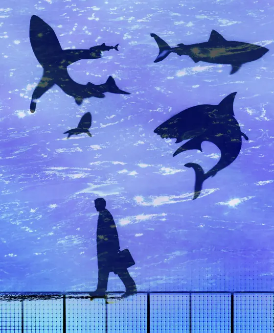 Businessman walking passed circling sharks