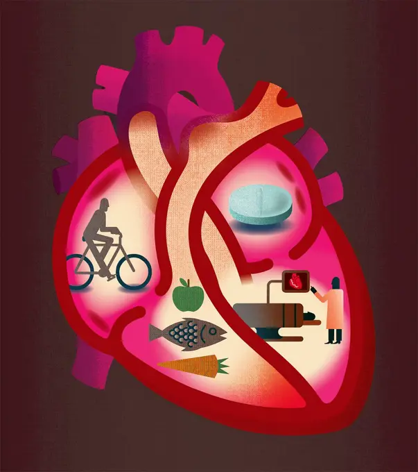 Cross section of heart contrasting heart disease and healthy lifestyle