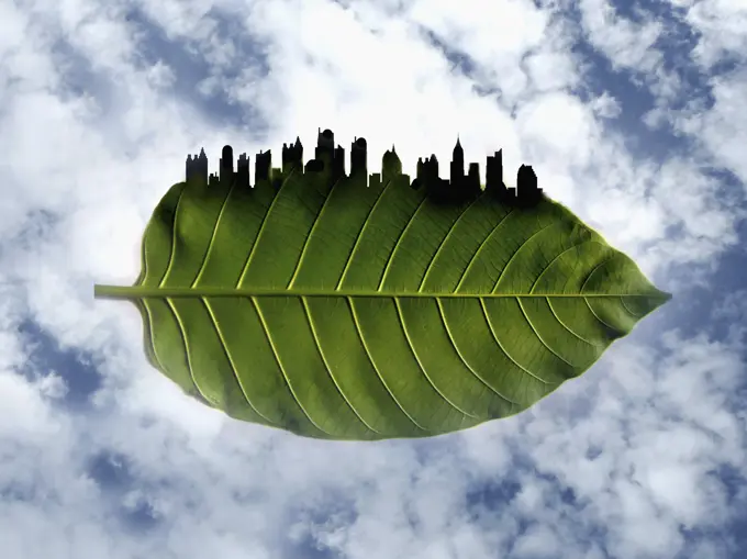 City skyline on the edge of green leaf