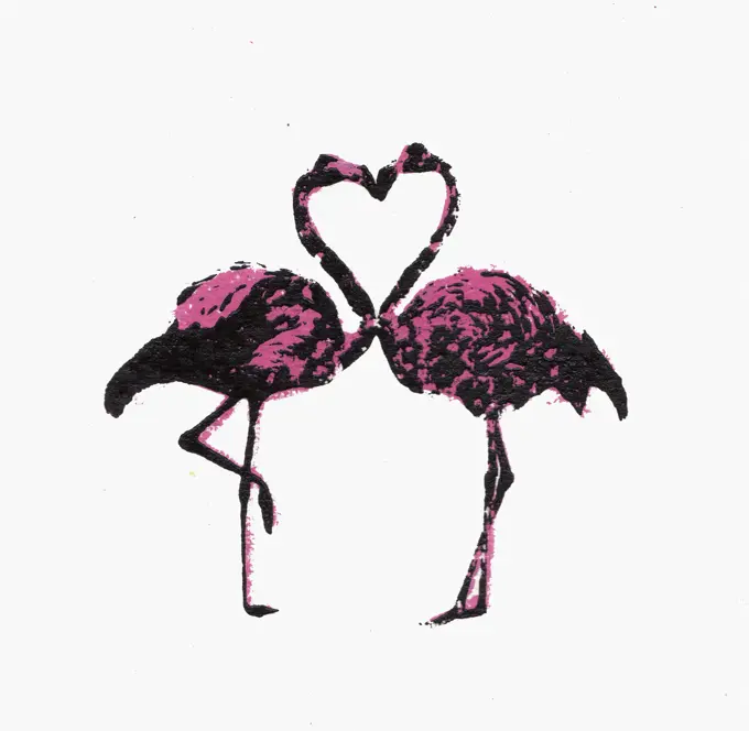 Two flamingos face to face with necks forming heart shape