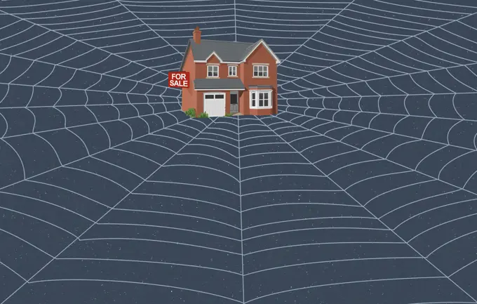 House with For Sale sign caught in web