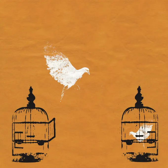 Dove escaping birdcage and bird trapped in birdcage