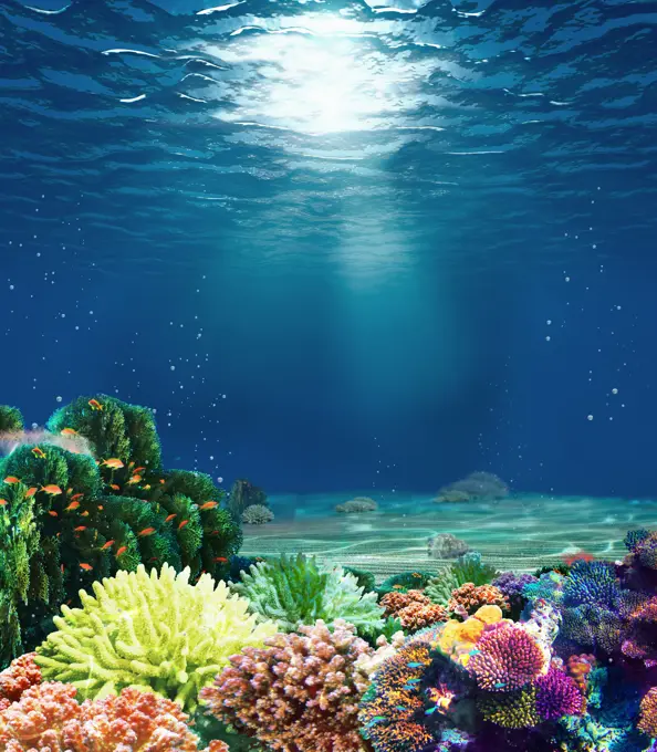 Multicolored underwater coral reef with sunbeam