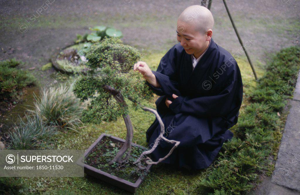 Zen Bonsai Colombo - Zen Buddhism is the foundation for much of the meaning  in bonsai. In fact, many myths associate the first bonsai trees with monks,  who developed them in monasteries