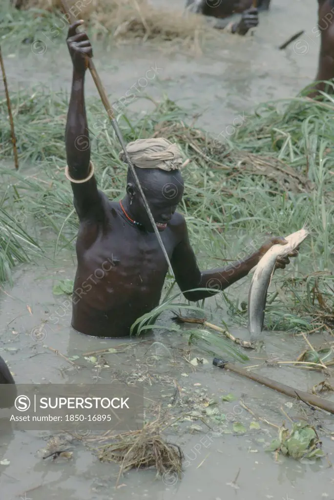 Sudan, People, Dinka Tribesman Catching Fish With Barbed Fishing Spear.