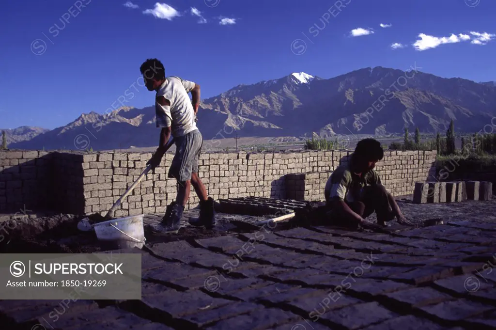 India, Ladakh, Thikse , 'Mud Brick Manufacture, Mud Bricks Are The Traditional Material Used For Building In Ladakh. When Regional Government Switched To Concerete For A Time There Was A Backlash From Environmentalists, Resulting In The Reinstatement Of The Mud Brick. '