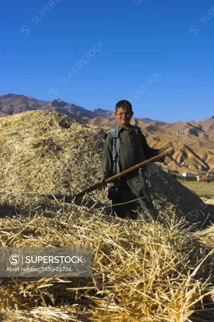 Afghanistan, Bamiyan Province, Bamiyan, Boy Threshing