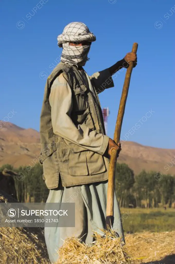 Afghanistan, Bamiyan Province, Bamiyan, Man Threshing