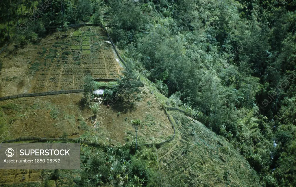 Papua New Guinea, Environment, Deforestation Of Hillside For Agricultural Use.  Aerial View Over Terraces And Surrounding Forest.