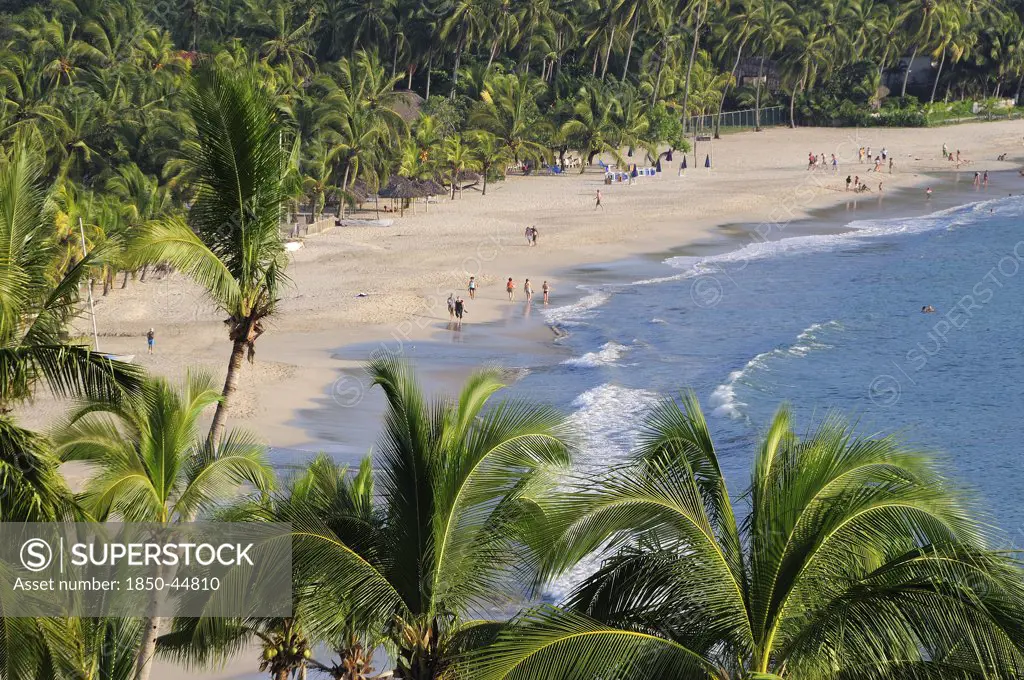 View over lush green palm trees onto Playa la Ropa sandy beach , Mexico Guerrero Zihuatanejo