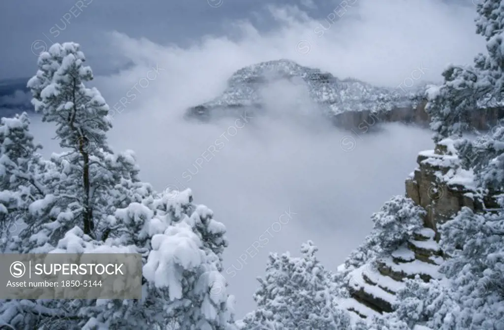 Usa, Arizona, Grand Canyon, North Rim With Snow In Canyon