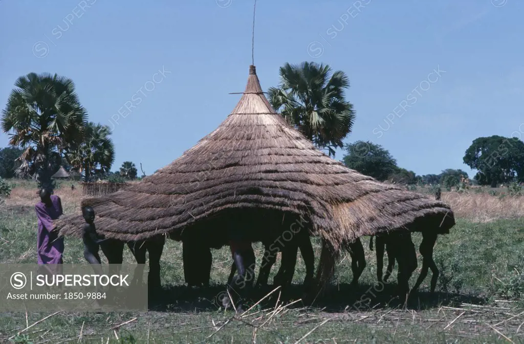 Sudan, Architecture, Dinka Moving Thatched Roof Of Hut.