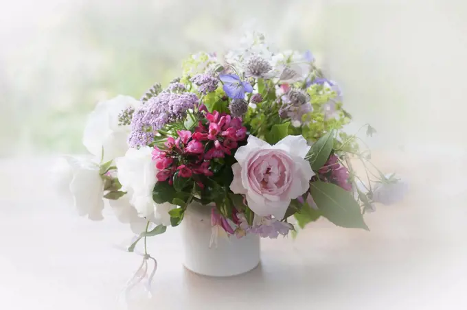 Rose, Escallonia. Yarrow and Astrantia, bunch of cottage garden flowers in a white jug with a dreamy white vignette.