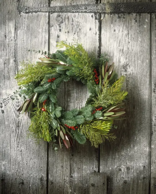 Christmas wreath