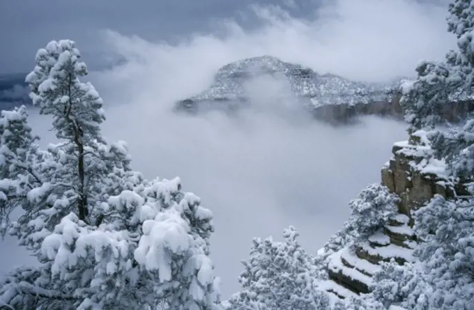 Usa, Arizona, Grand Canyon, North Rim With Snow In Canyon