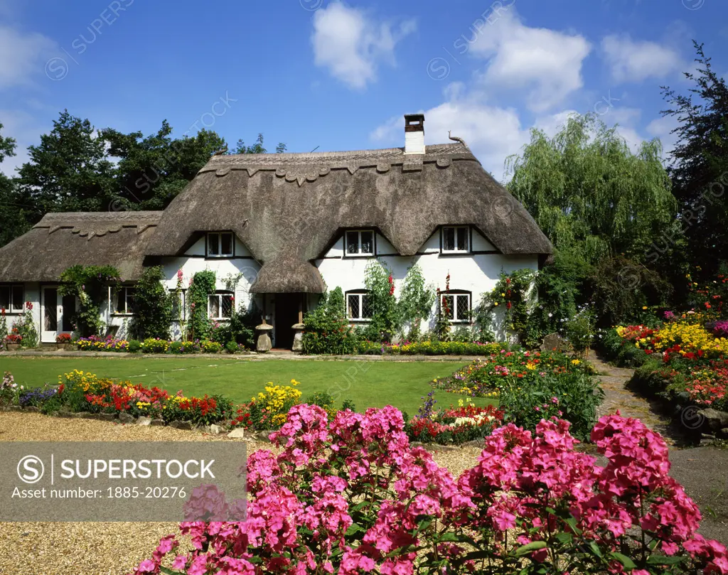 UK - England, Hampshire, Ibsley, Cottages - thatched cottage and garden in summer