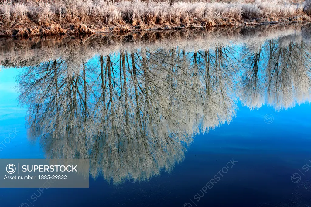 Hoare frost winter scene, river Welland, Peakirk village, Cambridgeshire, England; Britain; UK