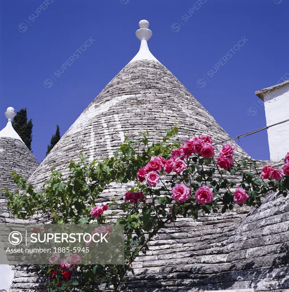 Italy, Puglia, Alberobello, Detail of Trulli Roof