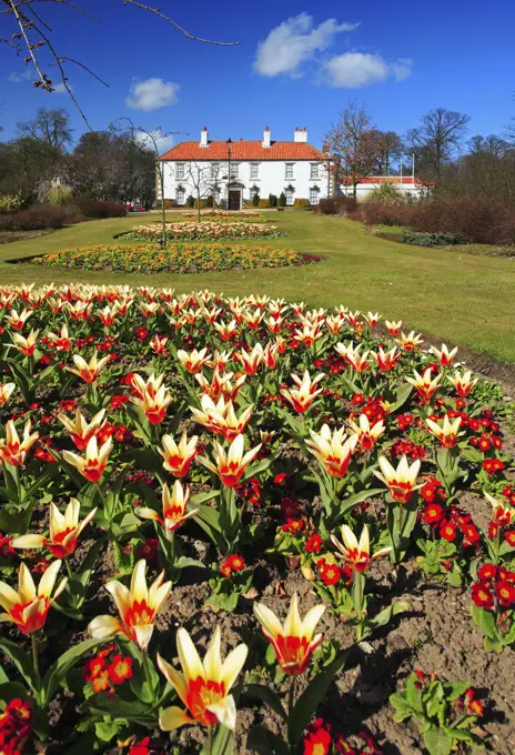 UK - England, County Durham, Peterlee, Shotton Hall and gardens in springtime