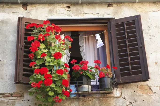 Croatia, Istria, Rovinj, Typical window display