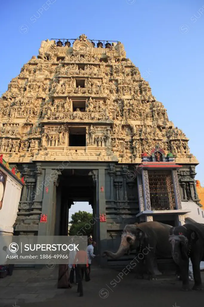 Temple kanchi kamakoti peetam sri kamakshi ambal ; district Kanchipuram ; state Tamilnadu ; India