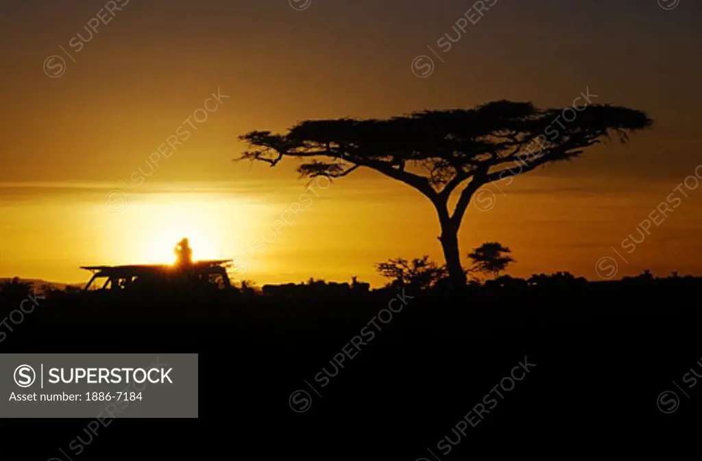 An African sunset silhouettes an ACACIA TREE & Land cruiser - SERENGETI NATIONAL PARK, TANZANIA