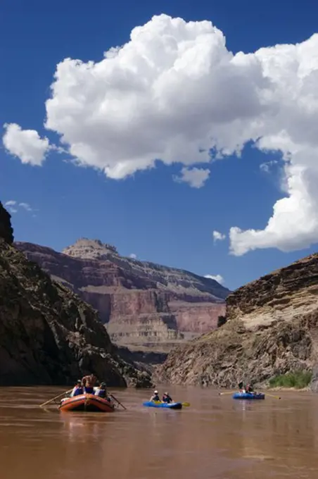 Rafts float down the muddy Colorado River near mile 114 - GRAND CANYON, ARIZONA