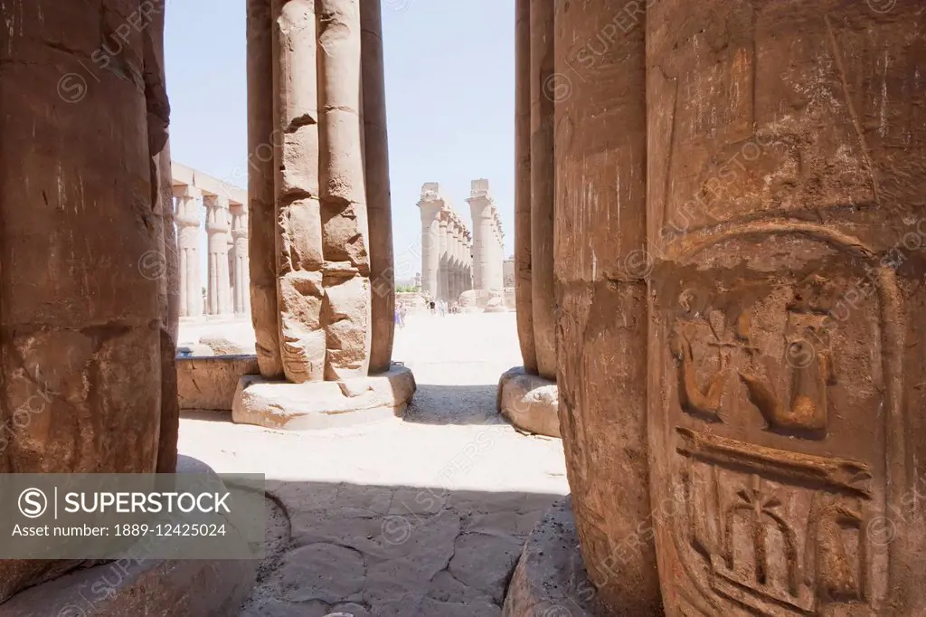 Columns Of The Sun Court Of Amenhotep Iii In The Temple Of Luxor At Night, Luxor, Qina, Egypt