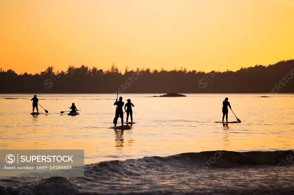 Five Women Stand Up Paddle Boarding On The Ocean Near Tofino, On Mackenzie Beach At Sunset, Vancouver Island; Tofino, British Columbia, Canada
