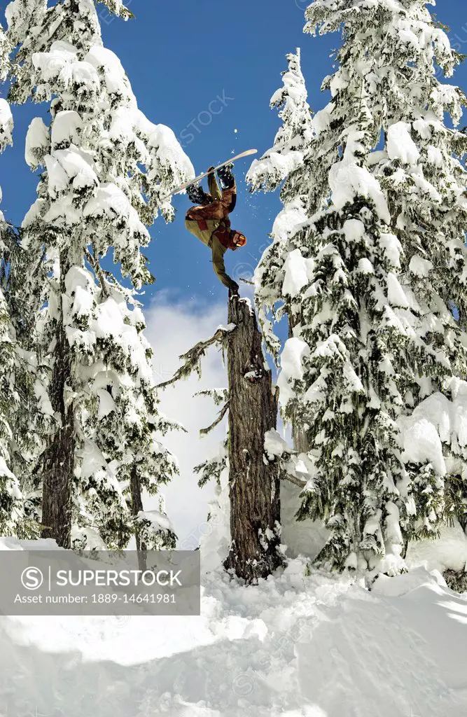 A professional snowboarder flips mid-air doing a Miller Flip in the snow-covered trees; British Columbia, Canada