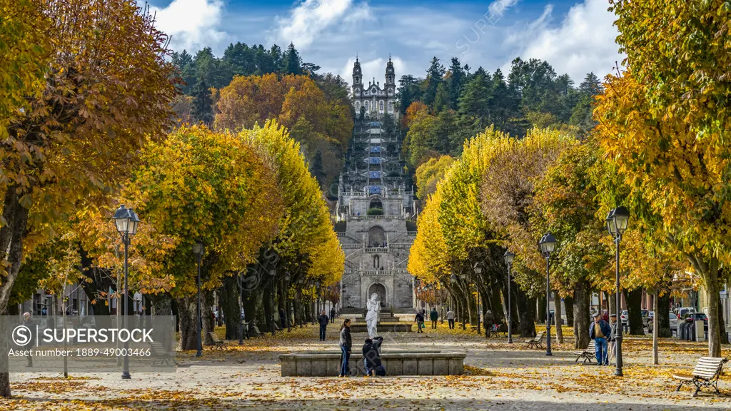 Vibrant autumn coloured foliage in Viseu District, Northern Portugal; Lamego Municipality, Viseu District, Portugal