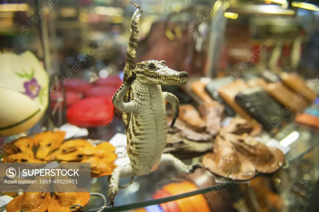 Souvenirs made out of crocodilian species are sold at the Hanoi Airport in Vietnam; Hanoi, Vietnam