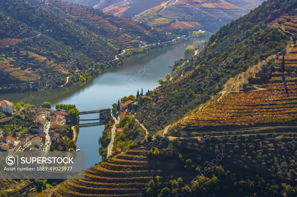 Terraced vineyards above the Douros River, Douro River Valley in Portugal; Portugal