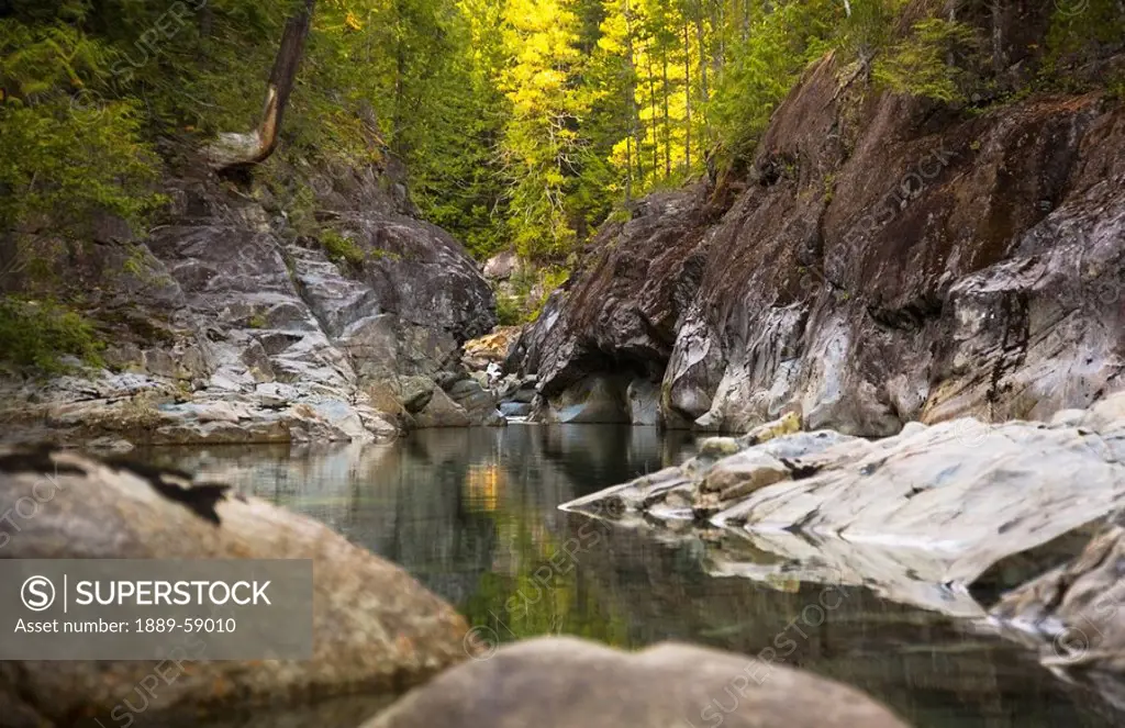 Still water, Elk Falls, British Columbia, Canada