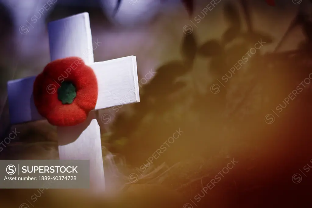 Remembrance Day