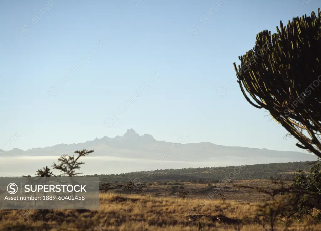 View Of Mount Kenya