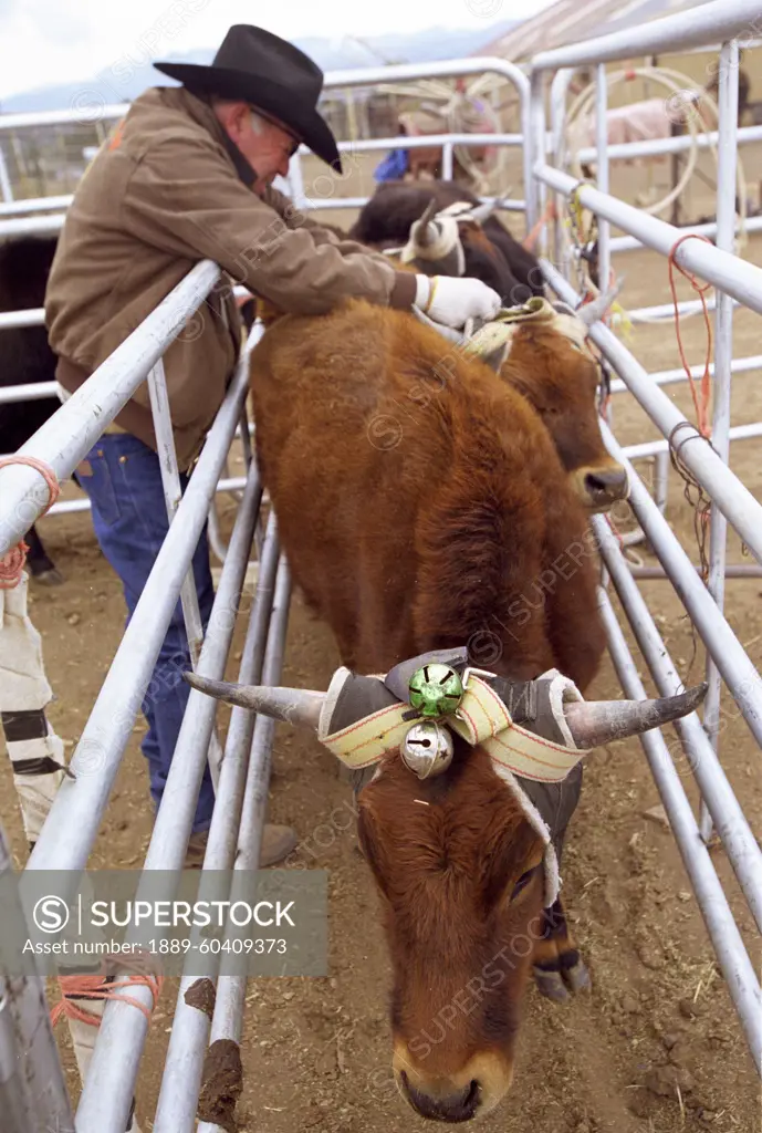 Unseen. Sport Without Sight' Project By Magali Delporte, Realised In 2001 And 2002. Jerry Long, Blind Rodeo, Capitan, New Mexico, March 2002. It Only Takes A Few