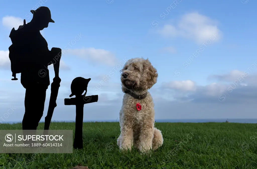 Dog sits at a Remembrance Day monument; South Shields, Tyne and Wear, England