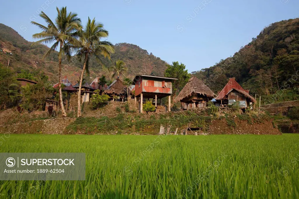 village containing the bangaan rice terraces, bangaan, luzon, philippines